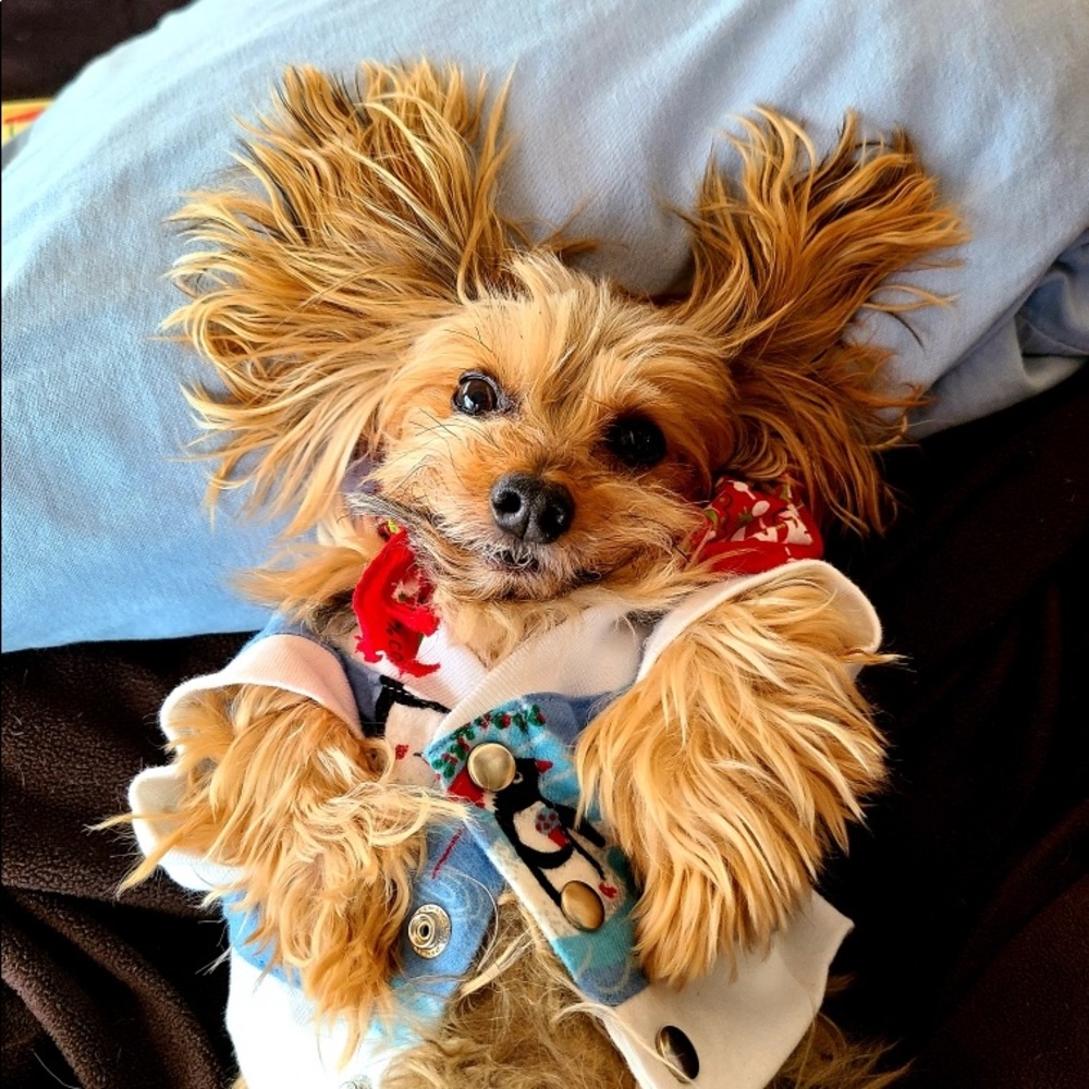 Meet your Posher, Courtenay